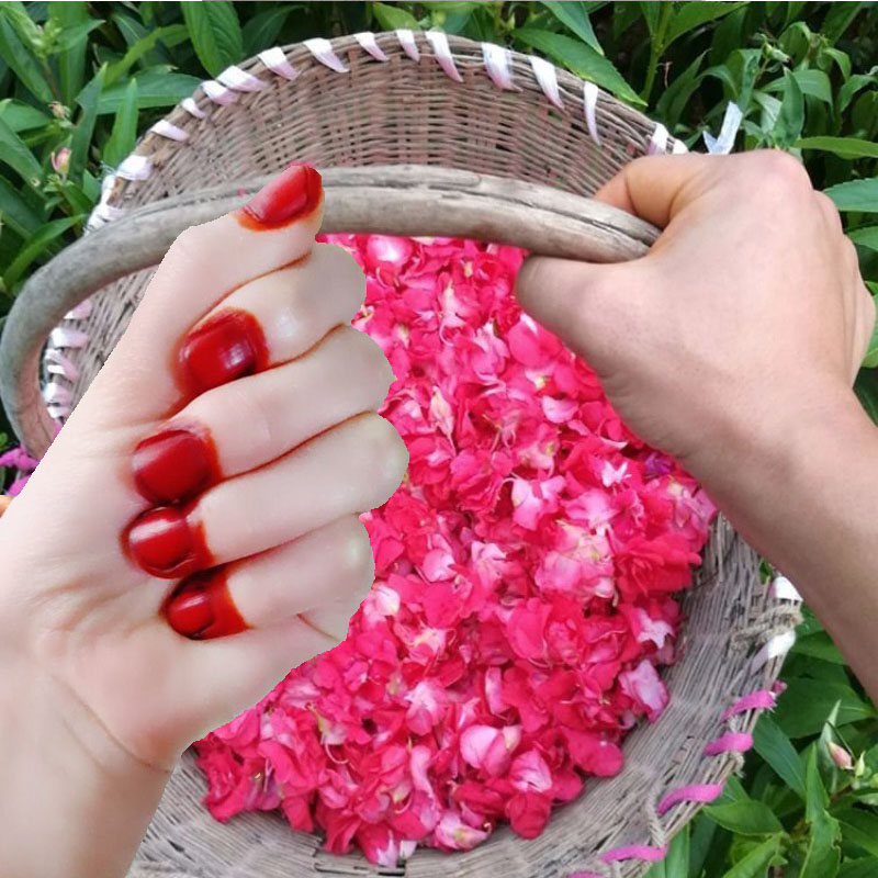 40g Henna Nail Dye Powder For  – Nail Art For Men Bewertung und Preis